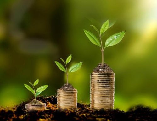 南京银行或为村镇银行结算行,河南村镇银行会以什么方式收场?