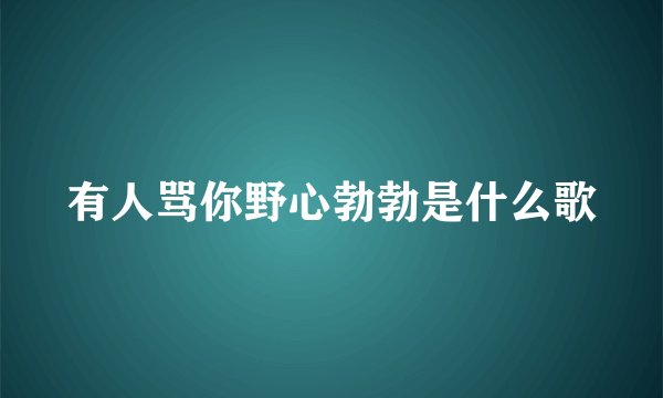 有人骂你野心勃勃是什么歌