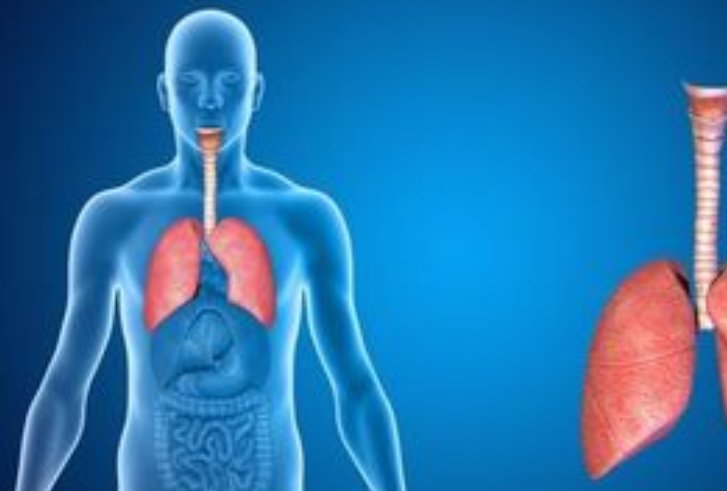 五脏（心肝脾肺肾）对应的五色（颜色）及五味（味道）