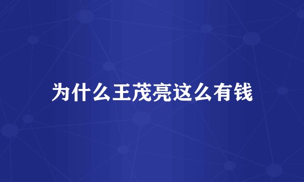 为什么王茂亮这么有钱