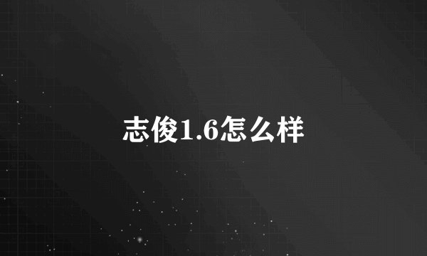 志俊1.6怎么样