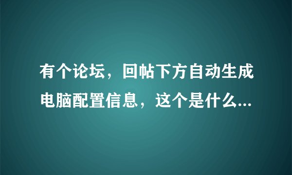 有个论坛，回帖下方自动生成电脑配置信息，这个是什么论坛网站？