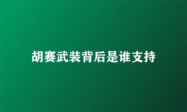 胡赛武装背后是谁支持