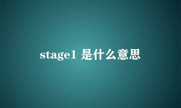 stage1 是什么意思