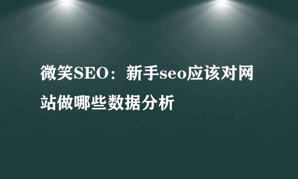 微笑SEO：新手seo应该对网站做哪些数据分析
