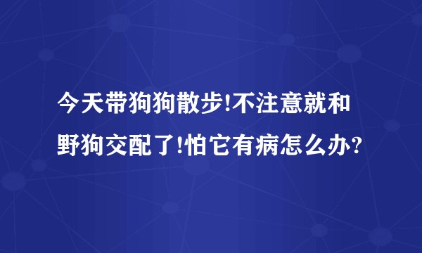 今天带狗狗散步!不注意就和野狗交配了!怕它有病怎么办?