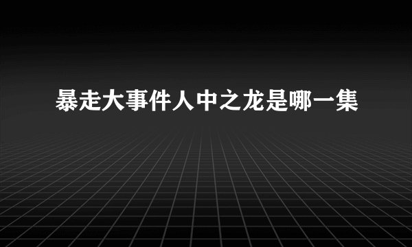 暴走大事件人中之龙是哪一集