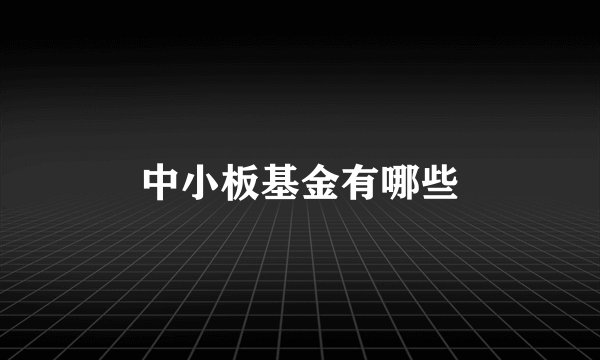 中小板基金有哪些