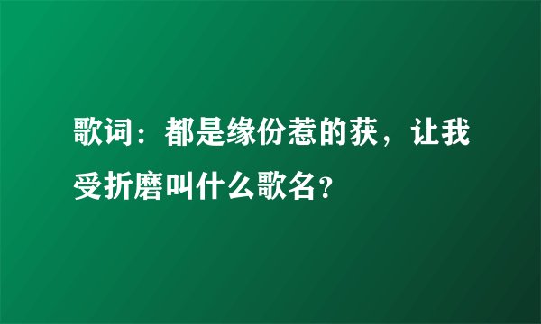 歌词：都是缘份惹的获，让我受折磨叫什么歌名？
