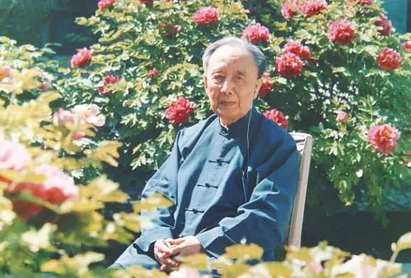 揭晓的意思解释