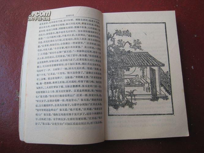 浓情快史的简介