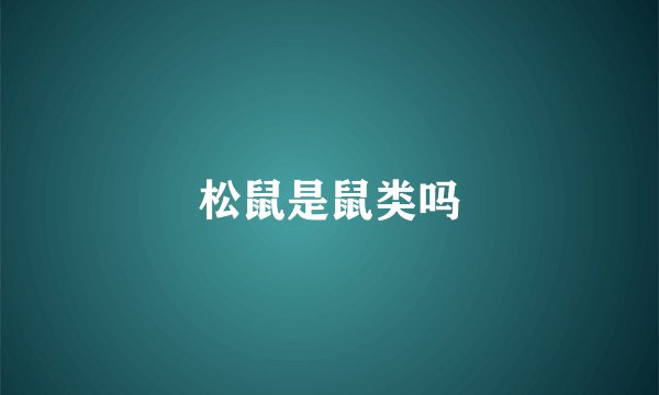 松鼠是鼠类吗