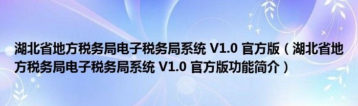 湖北省地方税务局电子税务局系统V10官方版湖北省地方税务局电子税务局系统V10官方版功能简介