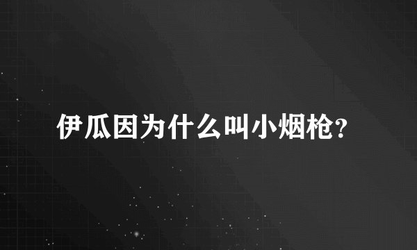 伊瓜因为什么叫小烟枪？