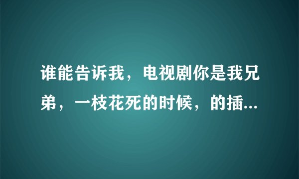 谁能告诉我，电视剧你是我兄弟，一枝花死的时候，的插曲，丁薇的，一生一世，的完整版歌词，谢谢哦...