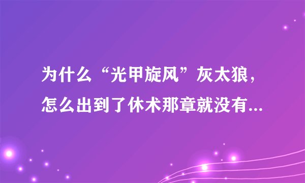 为什么“光甲旋风”灰太狼，怎么出到了休术那章就没有了...