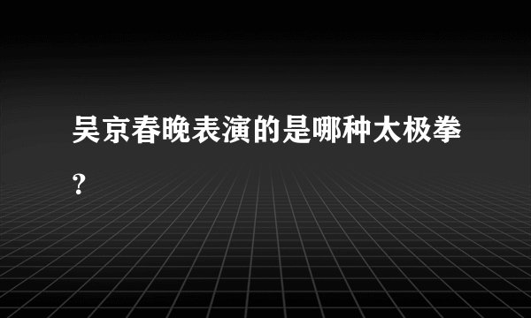 吴京春晚表演的是哪种太极拳？