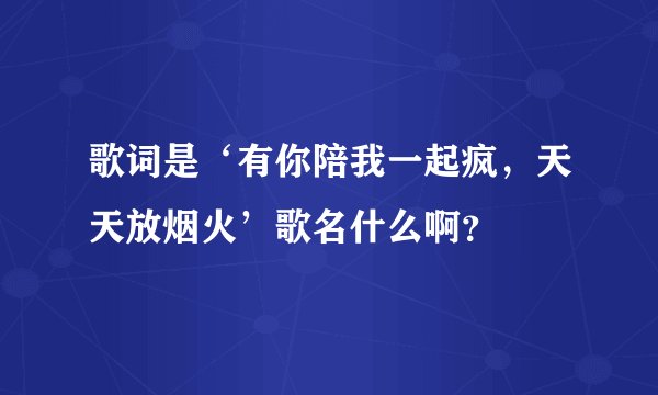 歌词是‘有你陪我一起疯，天天放烟火’歌名什么啊？