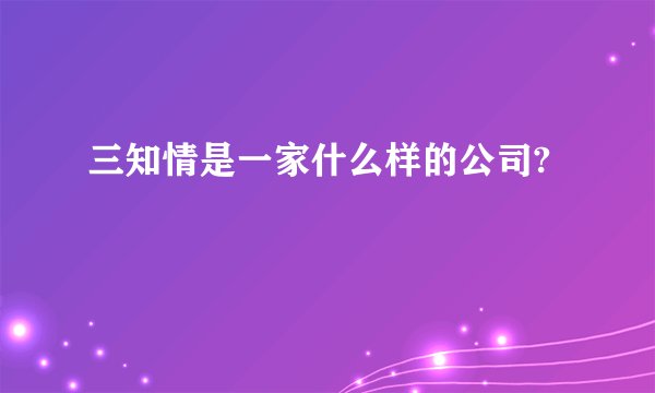 三知情是一家什么样的公司?