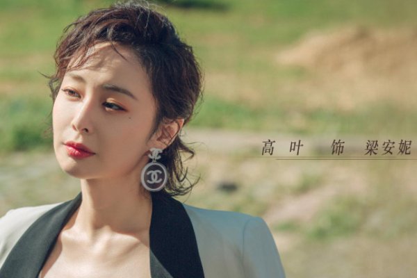 高叶演过的电视剧有哪些