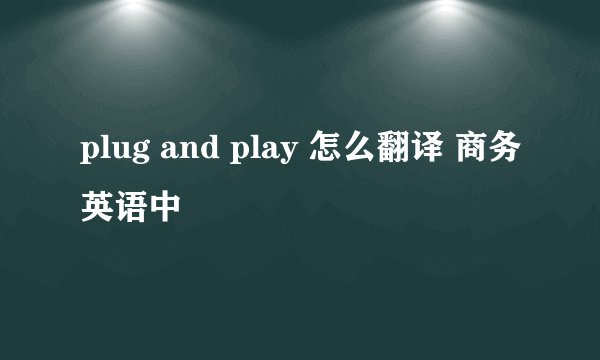 plug and play 怎么翻译 商务英语中