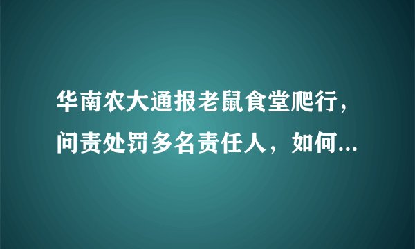 华南农大通报老鼠食堂爬行，问责处罚多名责任人，如何杜绝此类事件的发生？