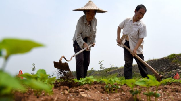 四月初三是什么日子?