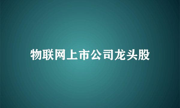 物联网上市公司龙头股