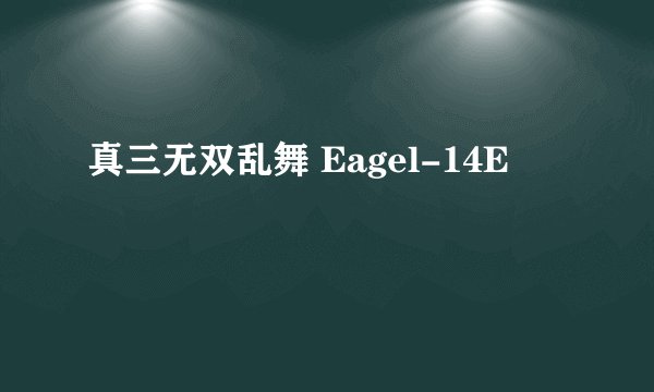 真三无双乱舞 Eagel-14E