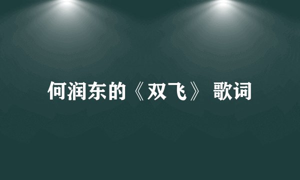 何润东的《双飞》 歌词