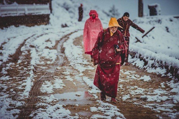 海地本土居民信奉的巫毒教,真的可以对尸体释放巫术使其劳作吗?