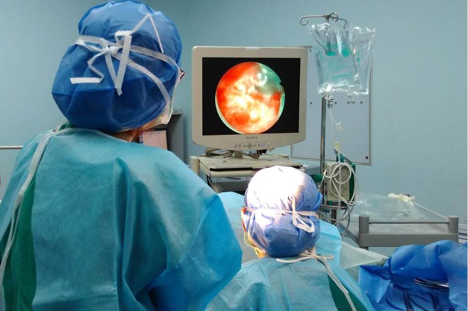 粘黏拼音怎么读