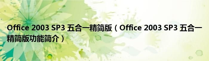 Office2003SP3五合一精简版Office2003SP3五合一精简版功能简介