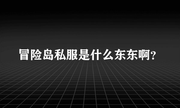冒险岛私服是什么东东啊？