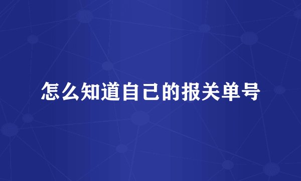 怎么知道自己的报关单号