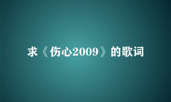 求《伤心2009》的歌词