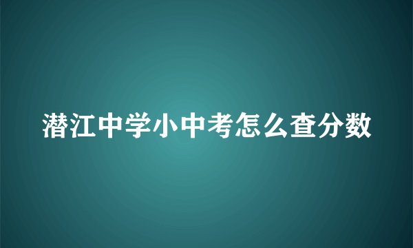 潜江中学小中考怎么查分数