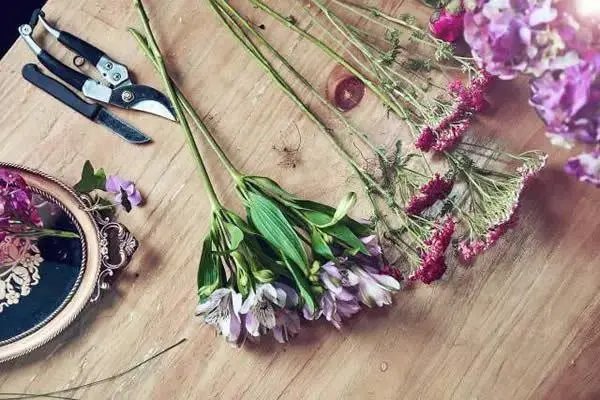 上海90后花艺师上门插花7500元4次，为何这么贵呢？