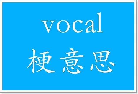 vocal什么梗