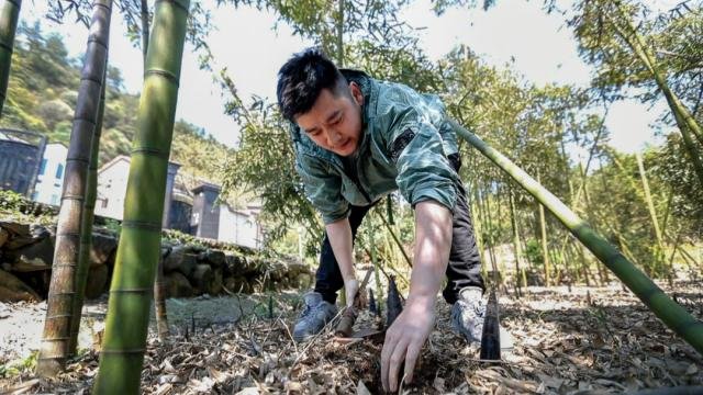 孙俪最好的年华不是给了邓超而是他,他是谁?