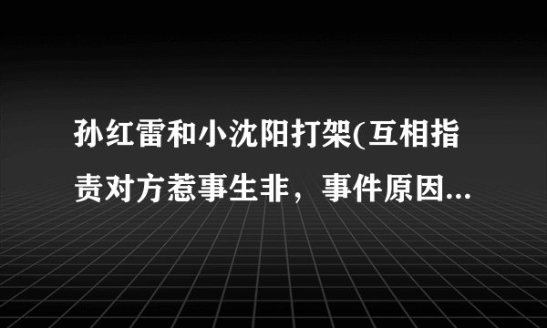 孙红雷和小沈阳打架(互相指责对方惹事生非，事件原因扑朔迷离)