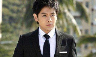 林志颖演过的电影 林志颖演过的电影作品