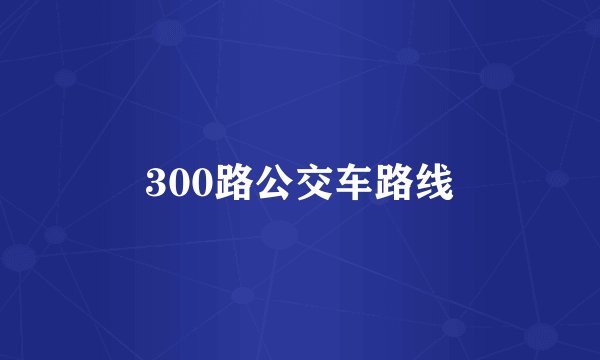300路公交车路线