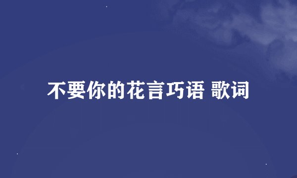 不要你的花言巧语 歌词