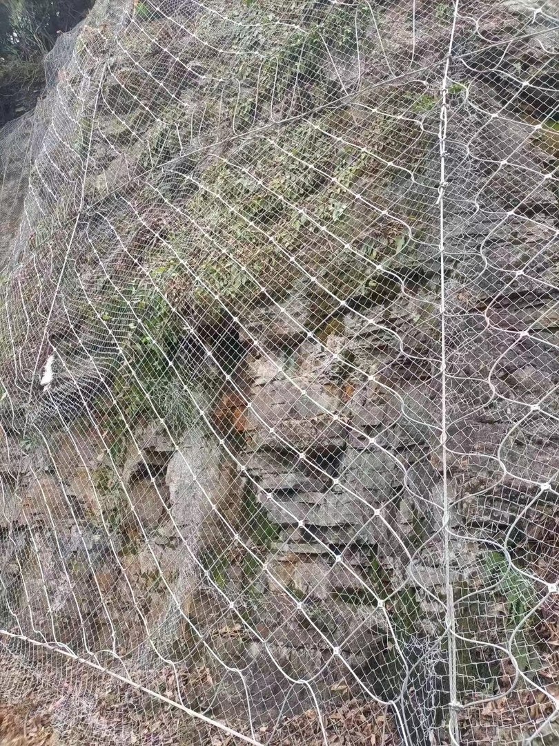 主动防护网多少钱1平米?