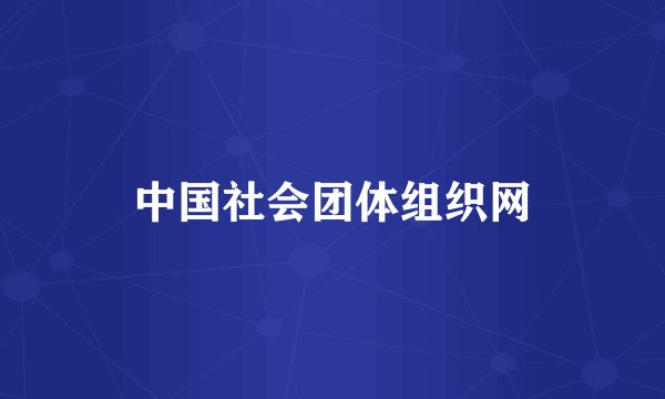 中国社会团体组织网