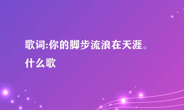 歌词:你的脚步流浪在天涯。什么歌