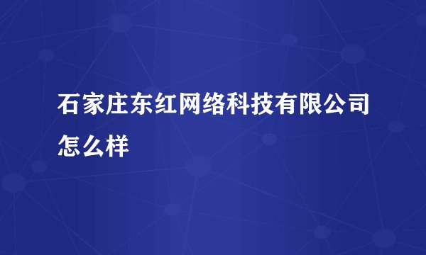 石家庄东红网络科技有限公司怎么样