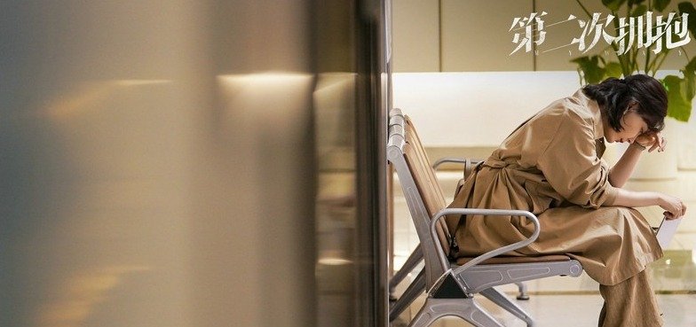 陈数杜淳是什么电视剧