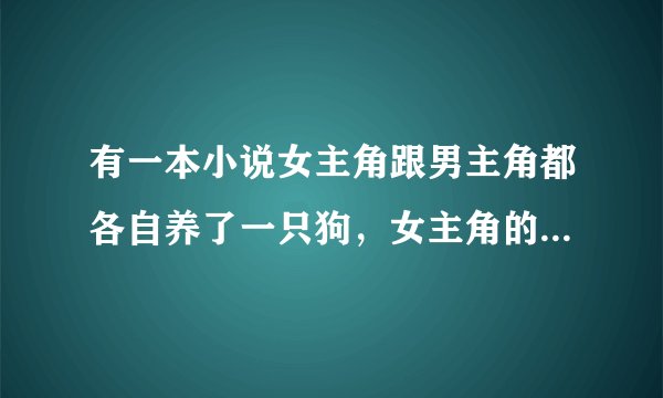 有一本小说女主角跟男主角都各自养了一只狗，女主角的狗在宠物医院洗澡的时候发情跟男主角的狗交配了。